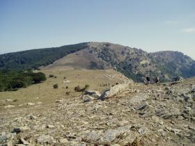 photo coins arrondis